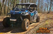 Istra Buggy Family Safari