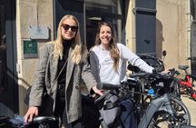 E-Bike Burgundy Tour with Tastings and Lunch from Beaune or Dijon