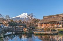 Day Trip To Mount Fuji and Hakone from Tokyo with English Guide 