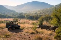 2 Days Pilanesberg Safari at Bakubung Lodge