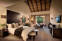 2 Days Pilanesberg Safari at Bakubung Lodge