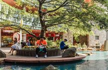 Fukuoka Private & Personalized Introductory Tour with a Local