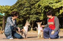 Fukuoka Like a Local: Private & Personalized Experience 2-3 hours