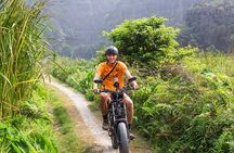 Ninh Binh E-Bike Tour - The Complete Tam Coc Experience