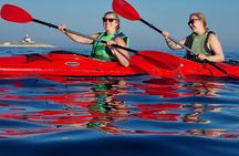 Half Day Paklinski Islands Sea Kayak Tour