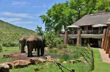2 Day Pilanesberg Safari at Kwa Maritane Lodge