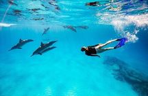 Snorkeling Adventure at Dolphin House Reef & Pickup – Marsa Alam