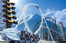 Fuji Q Highland Theme Park Ticket or Mt Fuji Passes (optional)