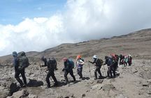 Lemosho Route Private 8 Day Kilimanjaro Minivan Tour