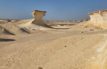 Full Day Tour to Qatar North And West With Pickup From Doha