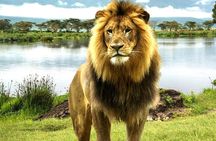 2 Day Lake Nakuru National Park Safari Daily Departures