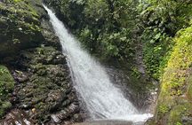 Mindo Cloud Forest Guided Private Tour 