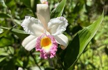 Mindo Cloud Forest Guided Private Tour 