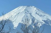 Mount Fuji and Hakone Private Tour with English Speaking Guide 