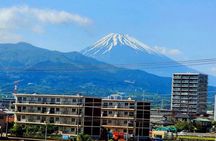 Mount Fuji and Hakone Private Tour with English Speaking Guide 