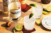 Mexican Drinks and Appetizers Class in Playa del Carmen