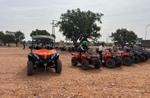Agadir/Taghazout: Buggy, Goats in Argan Trees & Moroccan Tea