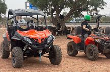 Agadir/Taghazout: Buggy, Goats in Argan Trees & Moroccan Tea