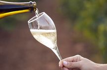 Sparkling Wine Tasting at the Vineyard