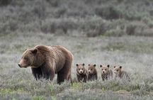 Sunrise and Sunset Tour of Grand Teton