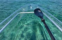 Inclusive Glass Boat Rental Peanut Island• Snorkel Gear & Snacks