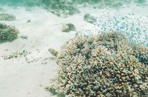 Mauritius Full day Private Catamaran Trip To Ile Aux Cerfs