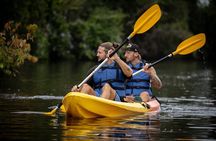 Tortuguero National Park Kayaking Tour