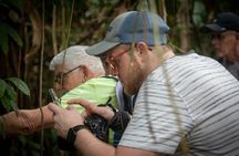 Seasonal Package of 3 Activities in Tortuguero with Breakfast 