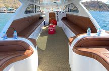 Snorkeling Adventure by Private Speedboat