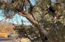 Excursion d'une journée à Tiout Taroudant au départ d'Agadir