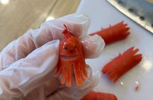 Only in Japan! Manga Creation Secrets, Character Bento Making and