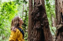 Muir Woods & Sausalito (Return by Bus or Ferry)