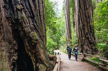 Muir Woods & Sausalito (Return by Bus or Ferry)