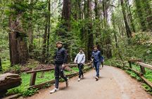 Muir Woods & Sausalito (Return by Bus or Ferry)