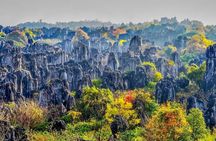 All Inclusive Kunming Tour to Stone Forest,Flower and Bird Market