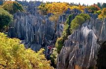 All Inclusive Kunming Tour to Stone Forest,Flower and Bird Market