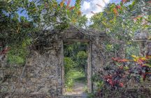 Frederiksted Historical Tour with Rum Distillery