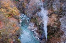 Nikko Full Day Private Tour with English Speaking Driver