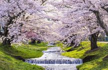 Nikko Full Day Private Tour with English Speaking Driver