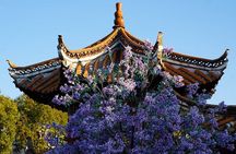 All Inclusive Kunming Tour to Stone Forest,Flower and Bird Market