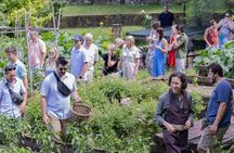 Florence Pasta and Gelato Class at a Tuscan Farmhouse with Wine