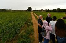 Nduja & Onion Tasting Tour Experience 