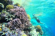 Sharm El Naga Coral Reserve with Lunch