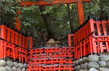 Kyoto highlights tour with English speaking guide and vehicle