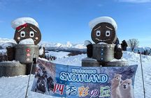 Asahiyama Zoo, Biei tree, Shirohige Falls and Blue Pond Day Tour