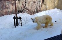Asahiyama Zoo, Biei tree, Shirohige Falls and Blue Pond Day Tour