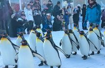 Asahiyama Zoo, Biei tree, Shirohige Falls and Blue Pond Day Tour
