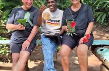 Jozani Forest Spice Farm Stone Town and Forodhani Night Market