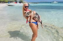 Swimming Pigs, turtles, snorkeling rose island reef .