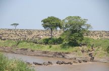 3 Days Group Joining Safari to Maasai Mara in a 4WD JEEP